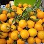 В регионах России под видом продукции из Крыма продавали греческие апельсины и херсонские овощи