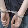 В Севастополе задержан мужчина, пытавшийся изнасиловать двух девочек
