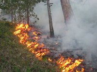 МЧС Крыма предупреждает о повышенной пожароопасности