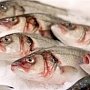 В Крым через границу пытались провезти 24 тонны рыбы неизвестного происхождения