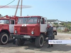 В лесах Крыма все ещё действует особый противопожарный режим