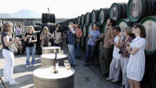 Винный фестиваль «WineFeoFest» в Феодосии отменили из-за проблем у производителей