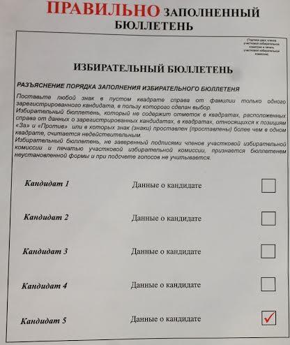 Псковская область. В образцах избирательных бюллетеней содержится агитация за кандидата власти