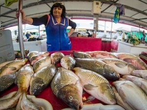 Меры не опустошат столы крымчан — рыбы достаточно