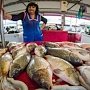 Меры не опустошат столы крымчан — рыбы достаточно