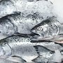 17 тонн заморской рыбы не попали в Крым