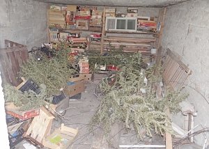 За незаконное хранение наркотиков двум жителям Белогорского района грозит уголовная ответственность