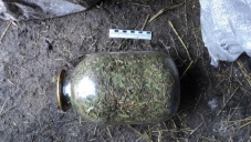 У жителя Крыма нашли пять килограммов марихуаны