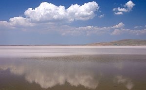 Совмин решил проверить потенциал соленых озер Крыма