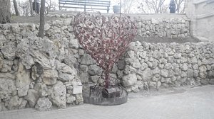 На Приморском бульваре появилось дерево любви