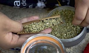 Под Симферополем в доме уголовника нашли два килограмма марихуаны