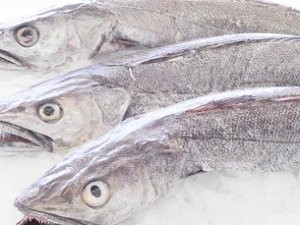 20 тонн украинской рыбы с «сюрпризом» не пустили в Крым