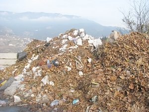Ялту предложили сделать первым регионом строительства завода переработки мусора