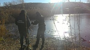 Под Симферополем спасатели оказали помощь примерзшему ко льду лебедю