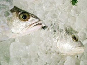 40 тонн рыбы не пустили в Крым