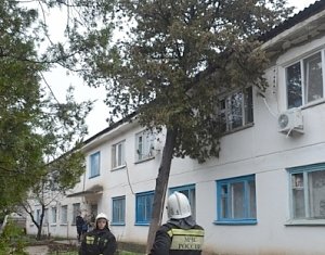 В Севастополе дерево рухнуло на крышу дома