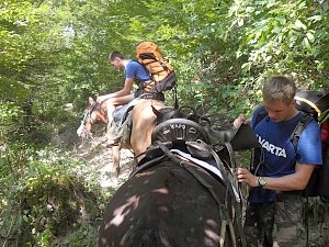 Весной в Крыму начнет работу конный отряд спасателей