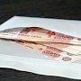 Жителя Севастополя суд оштрафовал за посредничество во взяточничестве