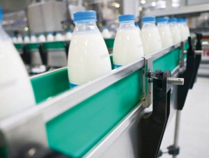 Минсельхоз республики рассматривает инвестпроект по производству молока