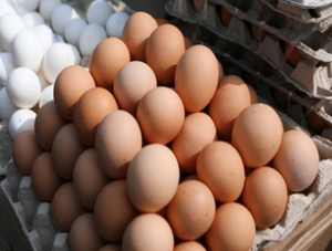 Россельхознадзор не пропустил в Крым с Украины груз в 216 тыс яиц