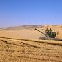 Президент поручил разработать меры поддержки сельхозпроизводителей Крыма
