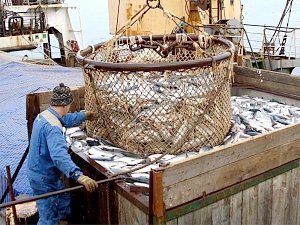 На развитие рыбного хозяйства в Крыму пообещали дать почти 3 млрд. рублей