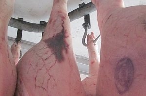 Крупную партию свинины из Украины не пустили в Крым
