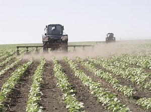 Сельское хозяйство Крыма предложили развивать созданием крупных предприятий