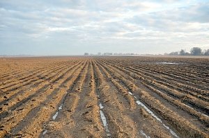 Совмин придумает порядок разрыва договоров аренды сельскохозяйственных земель в Крыму