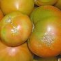 В Крым пытались завезти 18 тонн опасных помидоров