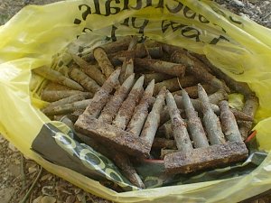 На жителя Севастополя завели дело за хранение найденных в лесу патронов