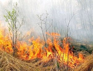 В Севастополе объявлен повышенный класс пожарной опасности