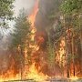 300 квадратных метров леса горело в районе Ялты