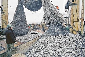 Для крымских рыбаков планируют расширить границы лова в Азовском море