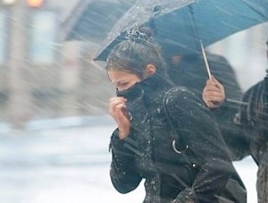 В Крыму ожидают сильный ветер и дождь