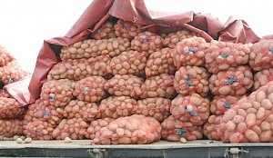 На Херсонщине из-за блокады Крыма скопилось 30 тыс. тонн овощей