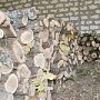 Крымчане будут полностью обеспечены древесным топливом – Николай Янаки