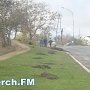 В Керчи по шоссе Героев Сталинграда высаживают деревья