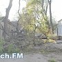 В Керчи из-за сильного ветра падают деревья