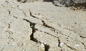 В Крыму с начала года зафиксировали почти 500 землетрясений