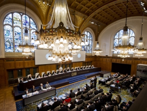 Аксенов выразил сомнение относительно объективности Гаагского суда