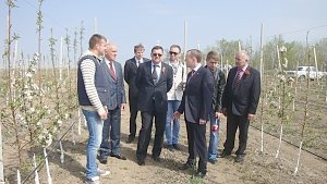 Возрождение садоводства является одной из «точек роста» аграрного сектора Крыма, - Константин Бахарев
