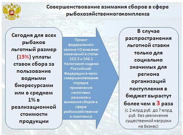 В.И. Кашин: «Законодательное обеспечение реализации поручений Президента Российской Федерации, направленных на развитие отечественного рыбохозяйственного комплекса»