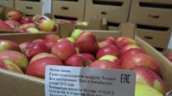 В Крыму на свалке захоронили 15 тонн яблок и апельсинов