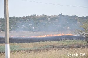 Керчанам напоминают о запрете выжигания сухой травы