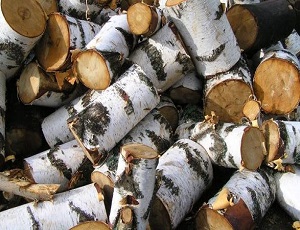 Крымчан должны обеспечить дровами по доступной цене