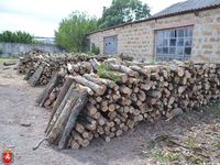 Жители Крыма обеспечены дровами к отопительному сезону – Юрий Гоцанюк
