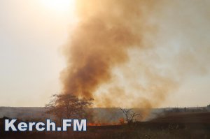 В Керчи до 15 сентября сохранится чрезвычайная пожарная опасность