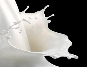 Какая молочная продукция в Крыму фальсифицирована – данные Росссельхознадзора