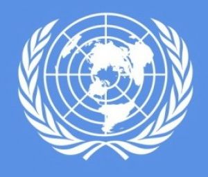 Проект резолюции по ситуации в Крыму вынесен на рассмотрение Генеральной Ассамблеи ООН